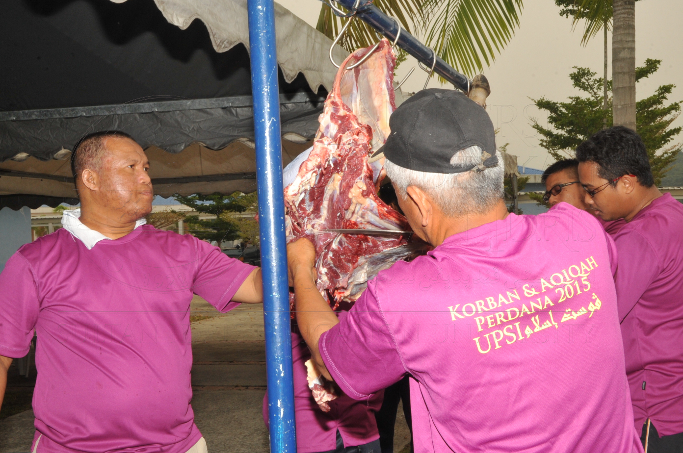 PRO15 150 KORBAN HAS 6909